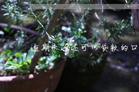 逾期未还还可以贷款的口子 逾期未还还可以贷款的口子