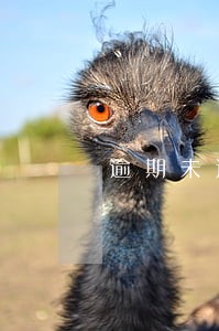 逾期未还还能不能借款 逾期未还还能不能借款