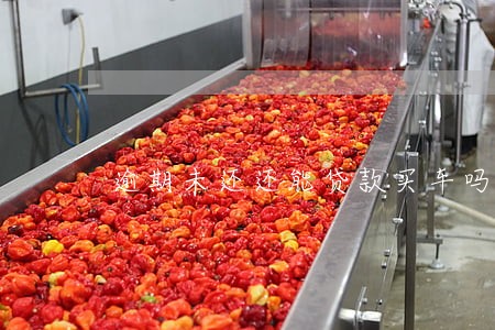 逾期未还还能贷款买车吗 逾期未还还能贷款买车吗