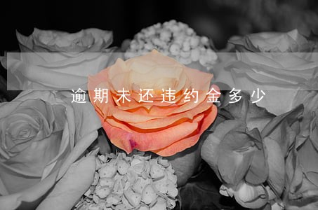 逾期未还违约金多少 逾期未还违约金多少