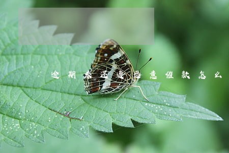 逾期未还遭恶意催款怎么办 逾期未还遭恶意催款怎么办