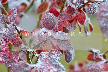 逾期未还金融信息库 逾期未还金融信息库