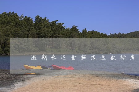 逾期未还金额报送数据库什么意思
