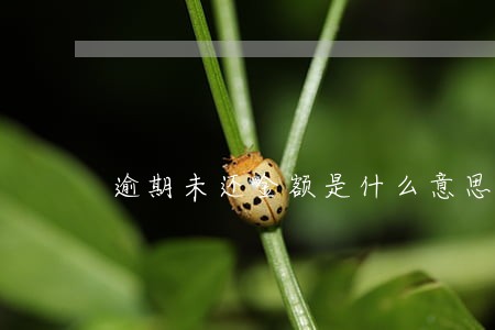 逾期未还金额是什么意思 逾期未还金额是什么意思