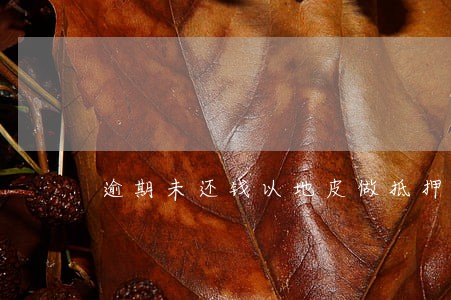 逾期未还钱以地皮做抵押怎么写 逾期未还钱以地皮做抵押怎么写