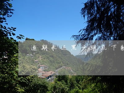 逾期未还黑户跟风下款到账 逾期未还黑户跟风下款到账