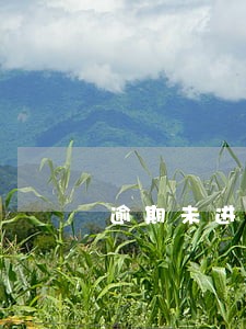 逾期未进行gsp认证申请表 逾期未进行gsp认证申请表