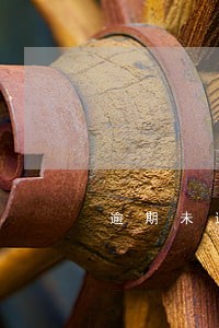 逾期未进行个税零申报怎么办 逾期未进行个税零申报怎么办
