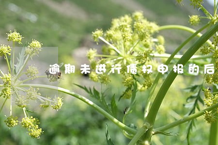 逾期未进行债权申报的后果 逾期未进行债权申报的后果