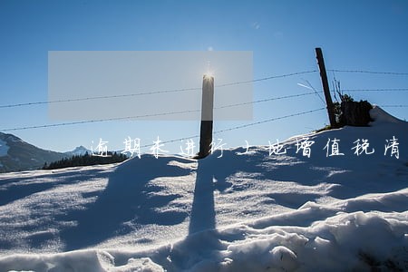 逾期未进行土地增值税清算 逾期未进行土地增值税清算