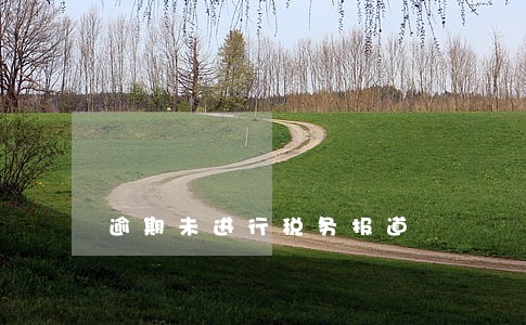 逾期未进行税务报道 逾期未进行税务报道