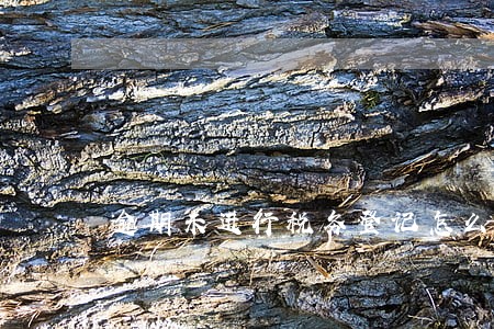 逾期未进行税务登记怎么办 逾期未进行税务登记怎么办
