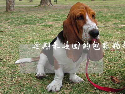 逾期未退回的包装物押金交消费税 逾期未退回的包装物押金交消费税