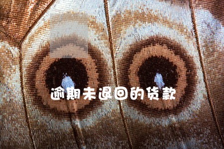 逾期未退回的货款