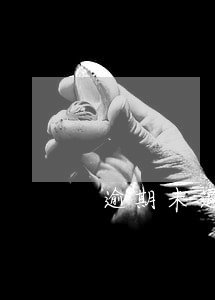逾期未退回金额怎么办 逾期未退回金额怎么办