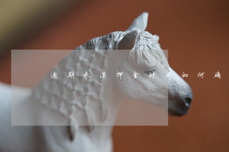 逾期未退押金时间如何确定 逾期未退押金时间如何确定