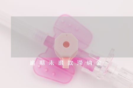 逾期未退款滞纳金 逾期未退款滞纳金