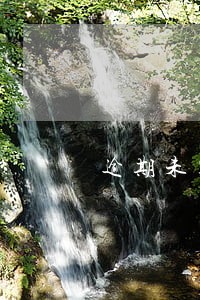 逾期未零申报增值税后果 逾期未零申报增值税后果