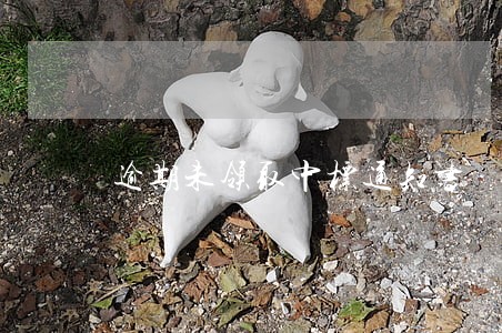 逾期未领取中标通知书 逾期未领取中标通知书