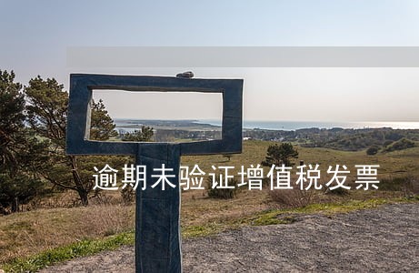 逾期未验证增值税发票 逾期未验证增值税发票
