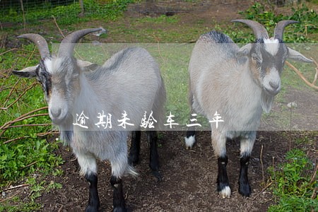 逾期未验车三年 逾期未验车三年