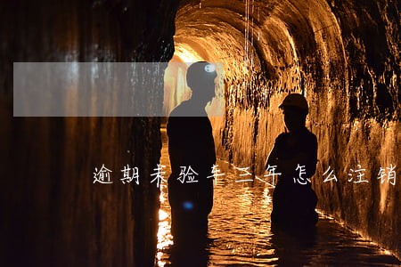逾期未验车三年怎么注销 逾期未验车三年怎么注销
