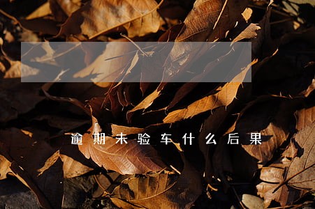逾期未验车什么后果