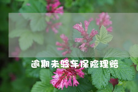 逾期未验车保险理赔 逾期未验车保险理赔