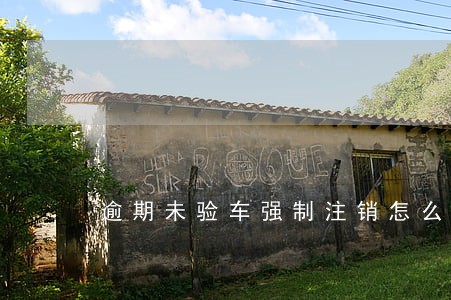 逾期未验车强制注销怎么办 逾期未验车强制注销怎么办