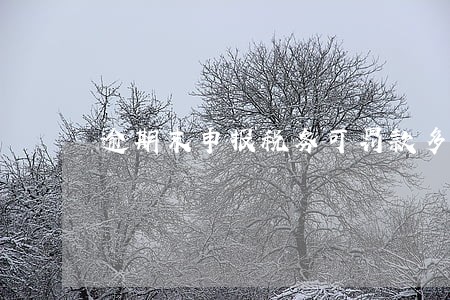 逾期末申报税务可罚款多少 逾期末申报税务可罚款多少