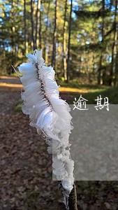 逾期本地电话说要上门取证