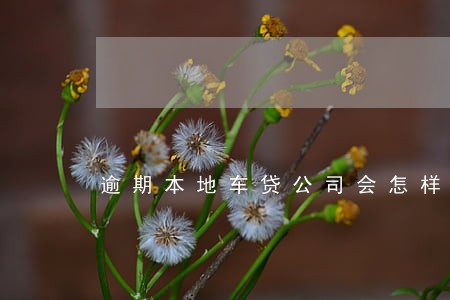 逾期本地车贷公司会怎样6 逾期本地车贷公司会怎样6