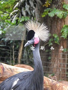 逾期本息一万