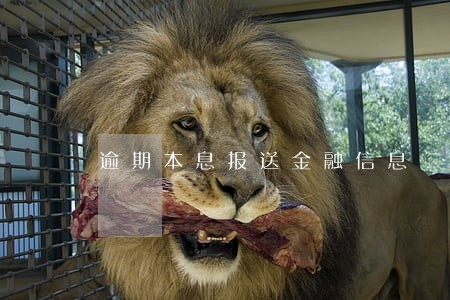 逾期本息报送金融信息