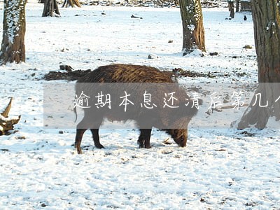 逾期本息还清后第几个月 逾期本息还清后第几个月