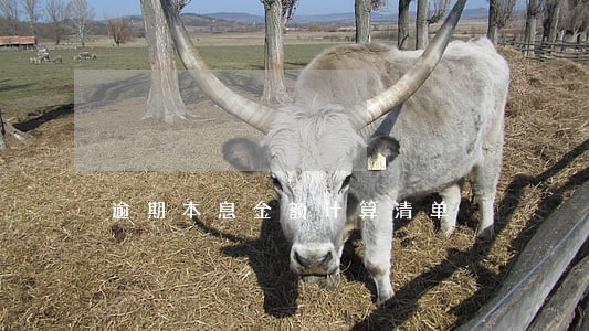 逾期本息金额计算清单