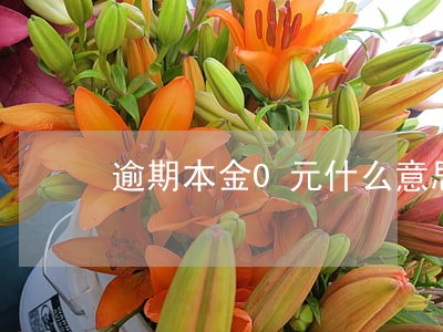 逾期本金0元什么意思 逾期本金0元什么意思