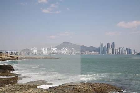 逾期本金1 逾期本金1
