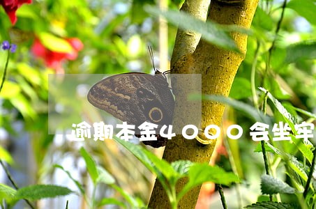 逾期本金4000会坐牢吗