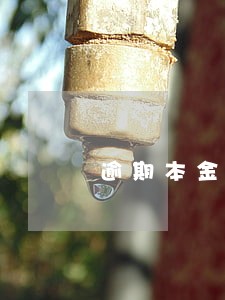 逾期本金50000 逾期本金50000