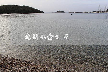 逾期本金5万 逾期本金5万