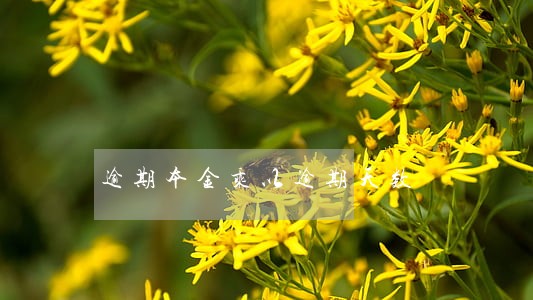 逾期本金乘以逾期天数