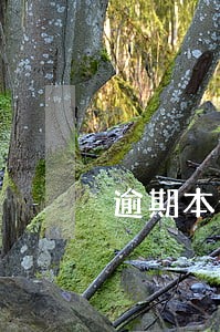 逾期本金产生的利息叫什么 逾期本金产生的利息叫什么