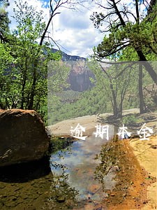 逾期本金什么意思 逾期本金什么意思