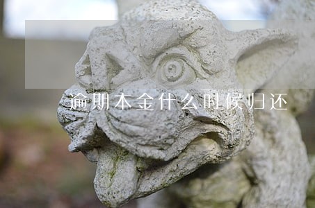 逾期本金什么时候归还 逾期本金什么时候归还