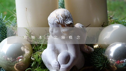 逾期本金余额概念 逾期本金余额概念
