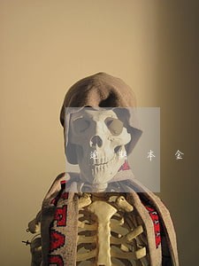 逾期本金利息是什么意思 逾期本金利息是什么意思