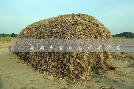 逾期本金利息计算公式 逾期本金利息计算公式