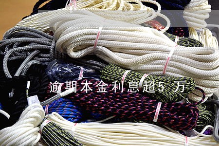 逾期本金利息超5万 逾期本金利息超5万