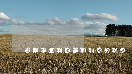 逾期本金利息逾期利息的利息 逾期本金利息逾期利息的利息